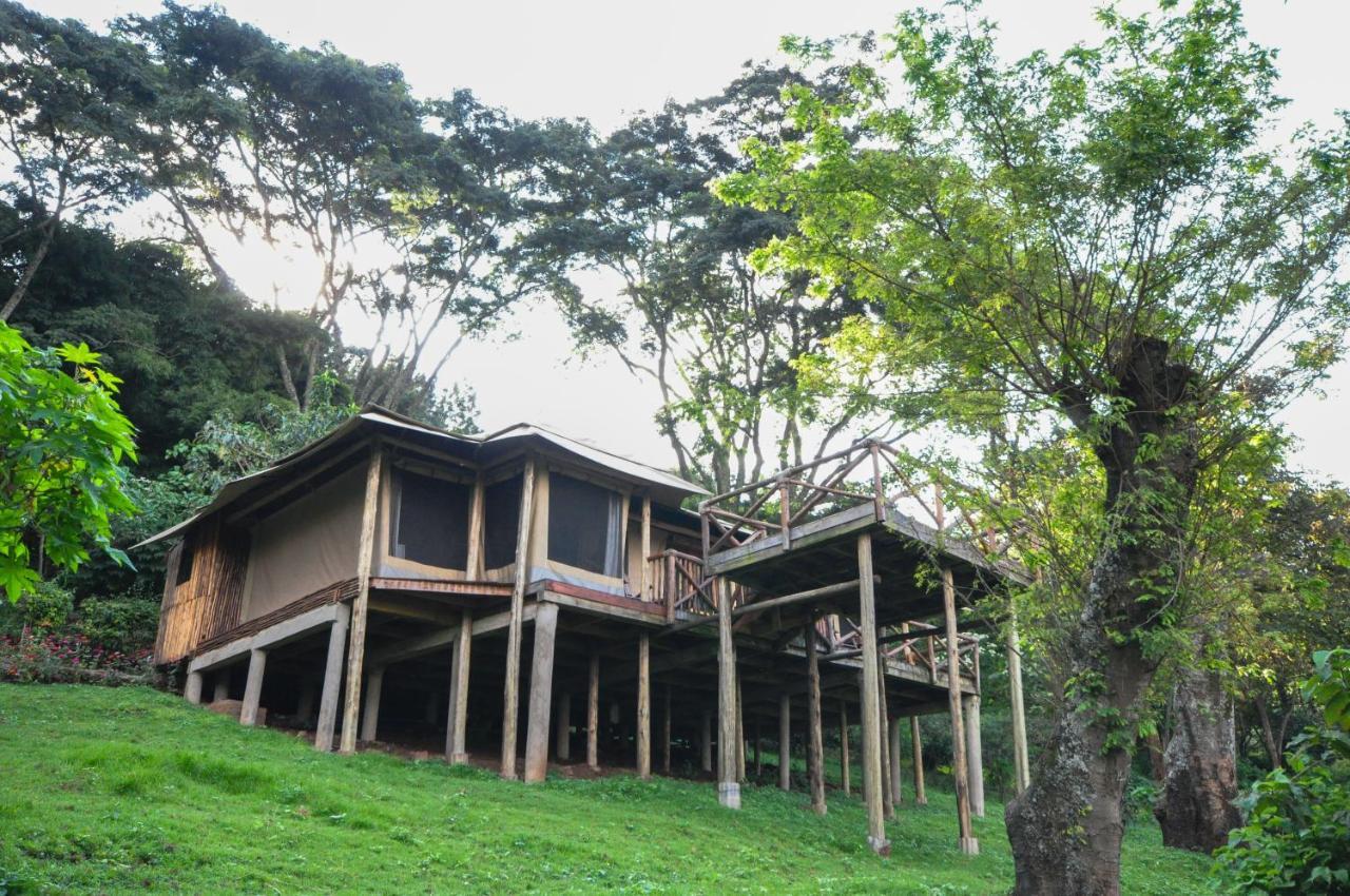 Karama Lodge Arusha Exterior photo