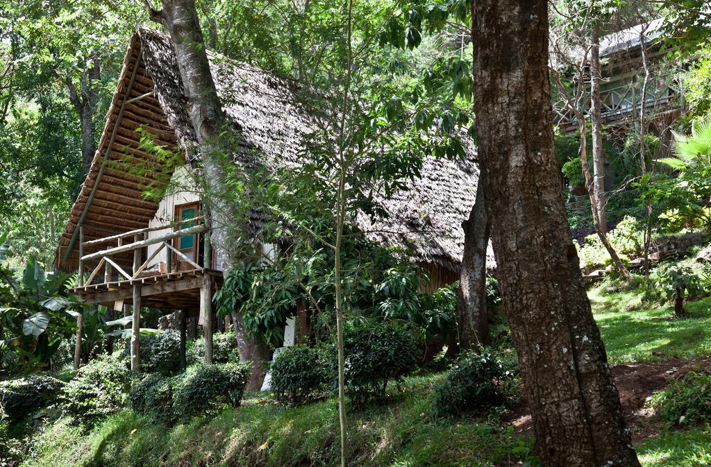 Karama Lodge Arusha Exterior photo